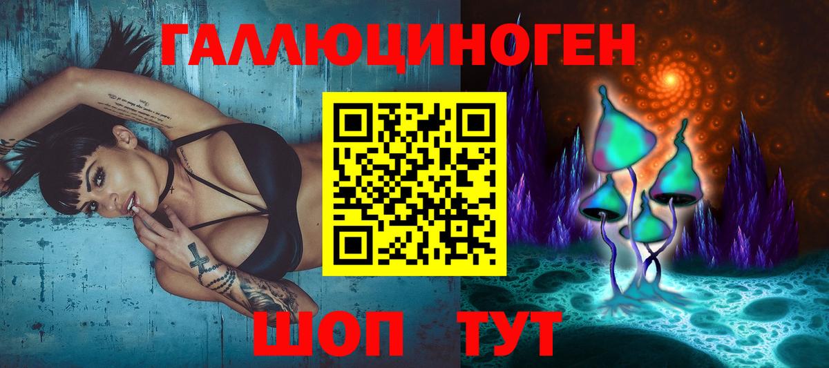 Усть-Джегута  Псилоцибиновые грибы MAGIC MUSHROOMS  Вход с VPN  Галлюциногенные грибы Magic Shrooms 